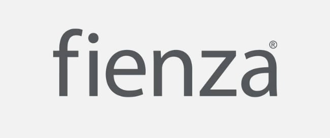 Fienza logo in gray text on a light background